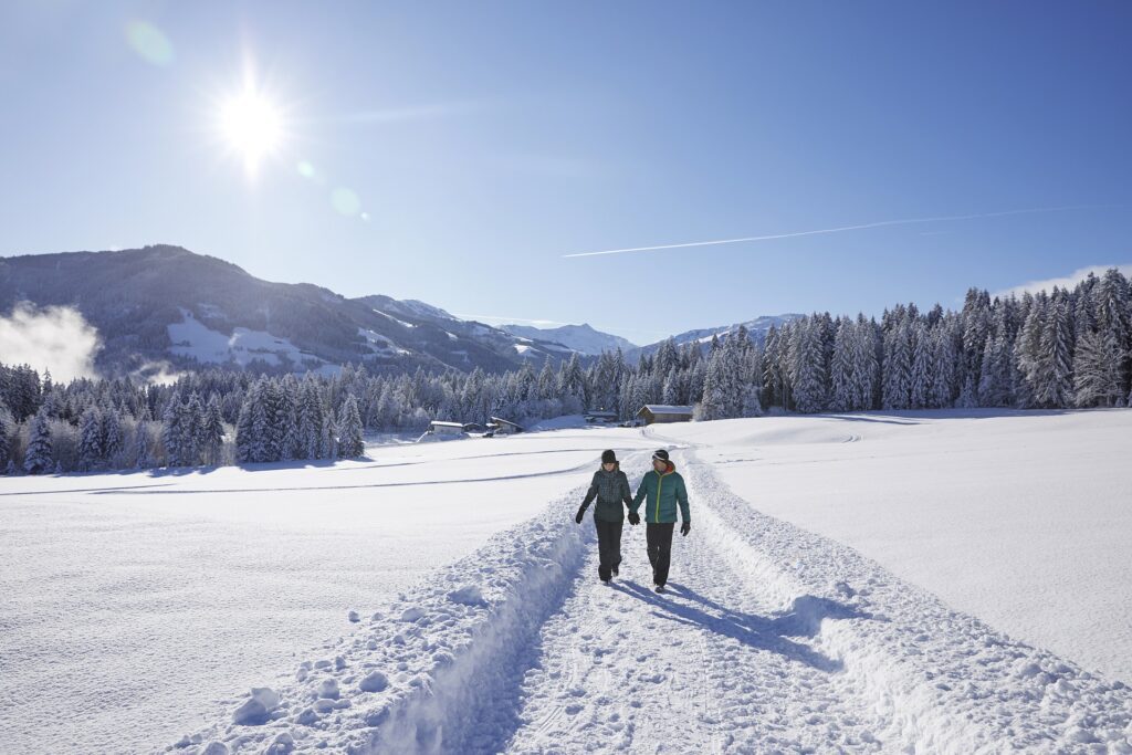 Wandelaars in winterlandschap