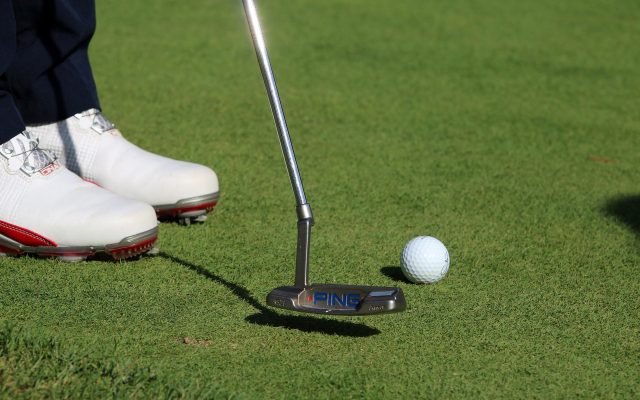 golfen-golfbaan-bal golfen-golfbaan-bal