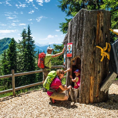 kindeeren in boomhutje in westendorf zomer