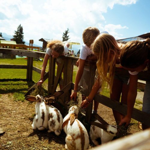 kinderen met konijnen in westendorf zomer