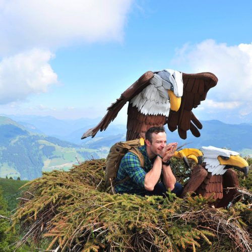 speeltoestel roofvogel in westendorf zomer
